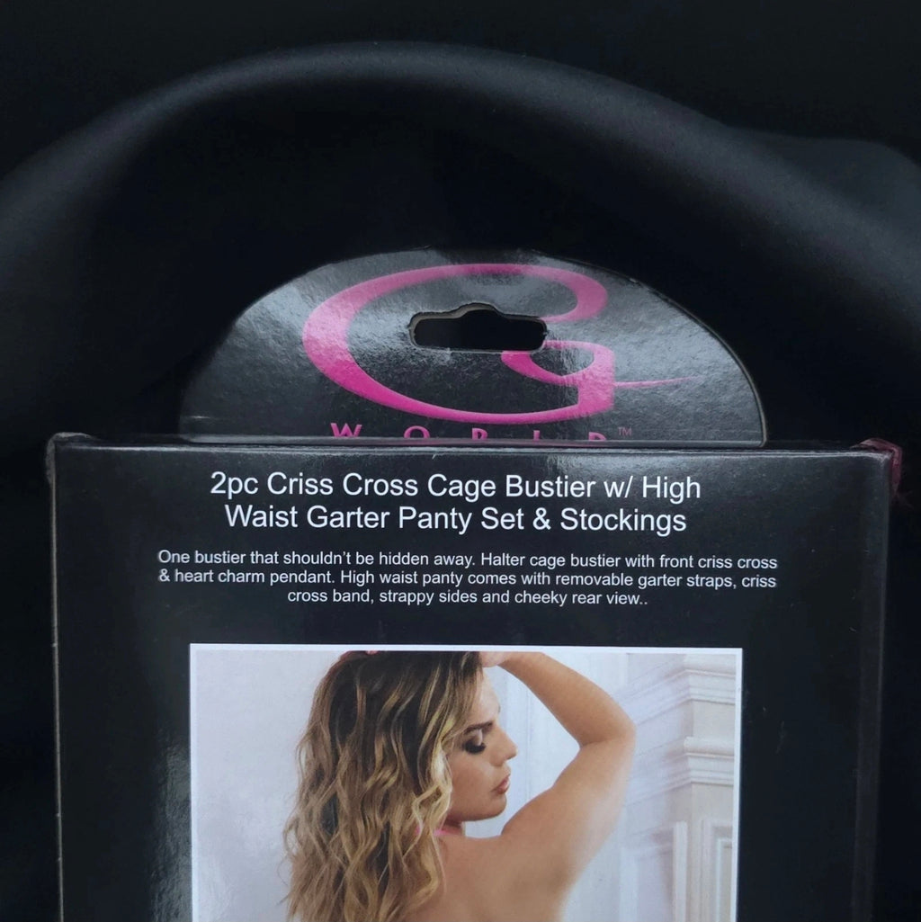 2pc Criss Cross Cage Bustier Set with High-Waist Garter Panty & Stockings – Pink