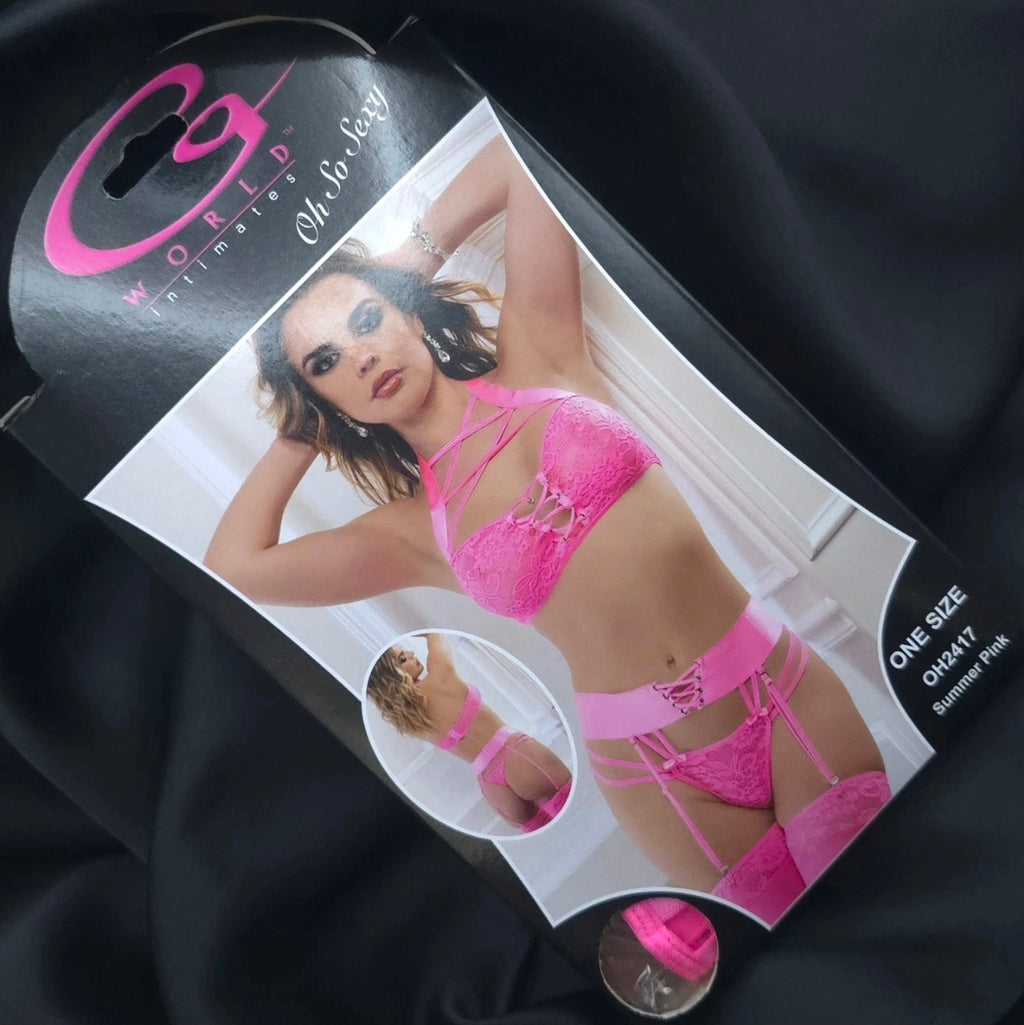 2pc Criss Cross Cage Bustier Set with High-Waist Garter Panty & Stockings – Pink